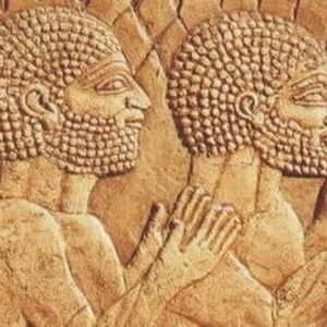 Meet your Posher, Fred